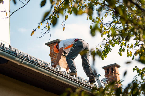 Roof Gutter Cleaning in Reidland, KY