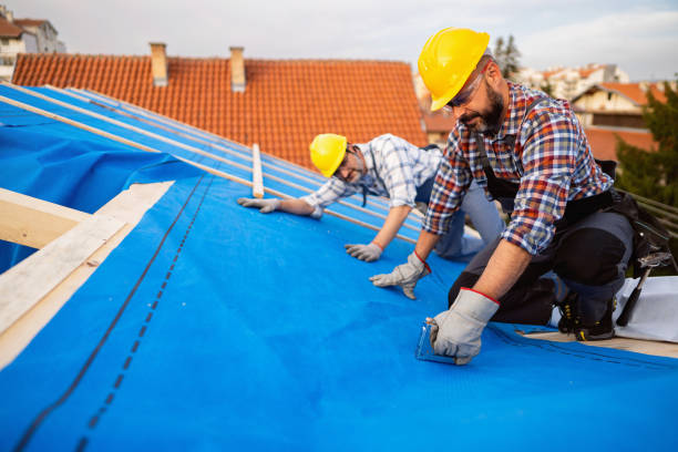 Best Flat Roof Repair Services  in Reidland, KY